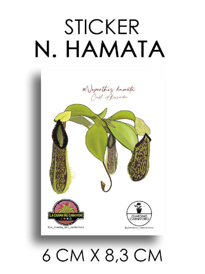 STICKER NEPENTHES HAMATA  6 CM X 8,3 CM
