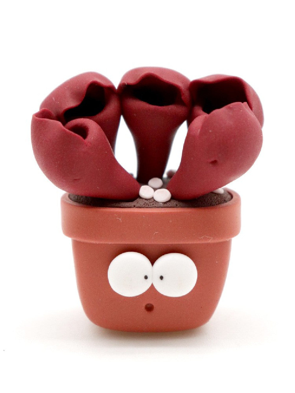 Sarracenia purpurea calamita Obesini