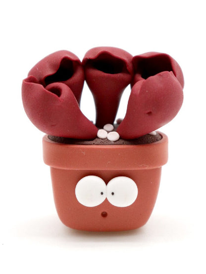 Sarracenia purpurea calamita Obesini