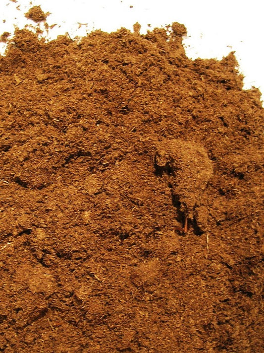 Torba bionda acida di sfagno - Estonian moss peat