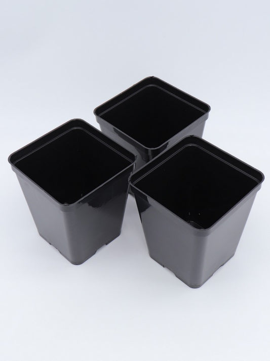 Vaso quadrato nero 7 x 7 x 8 cm